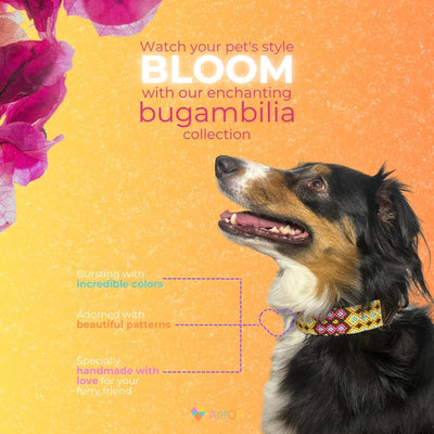 AMOR SPECIAL EDITION COLLAR: BUGAMBILIA